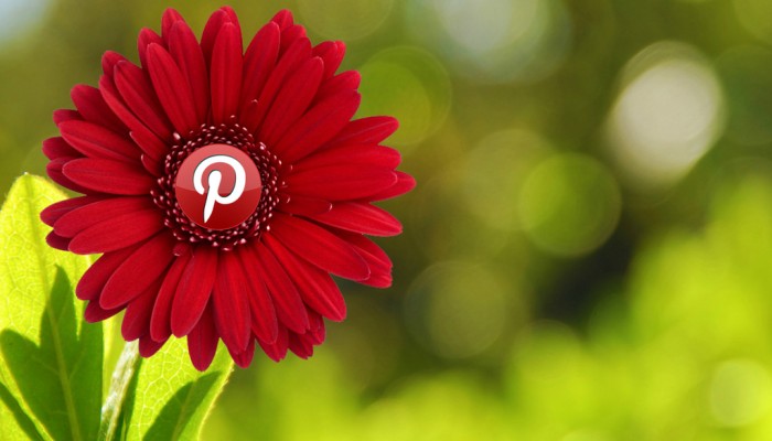Are you Pinterest-ed in building your brand?